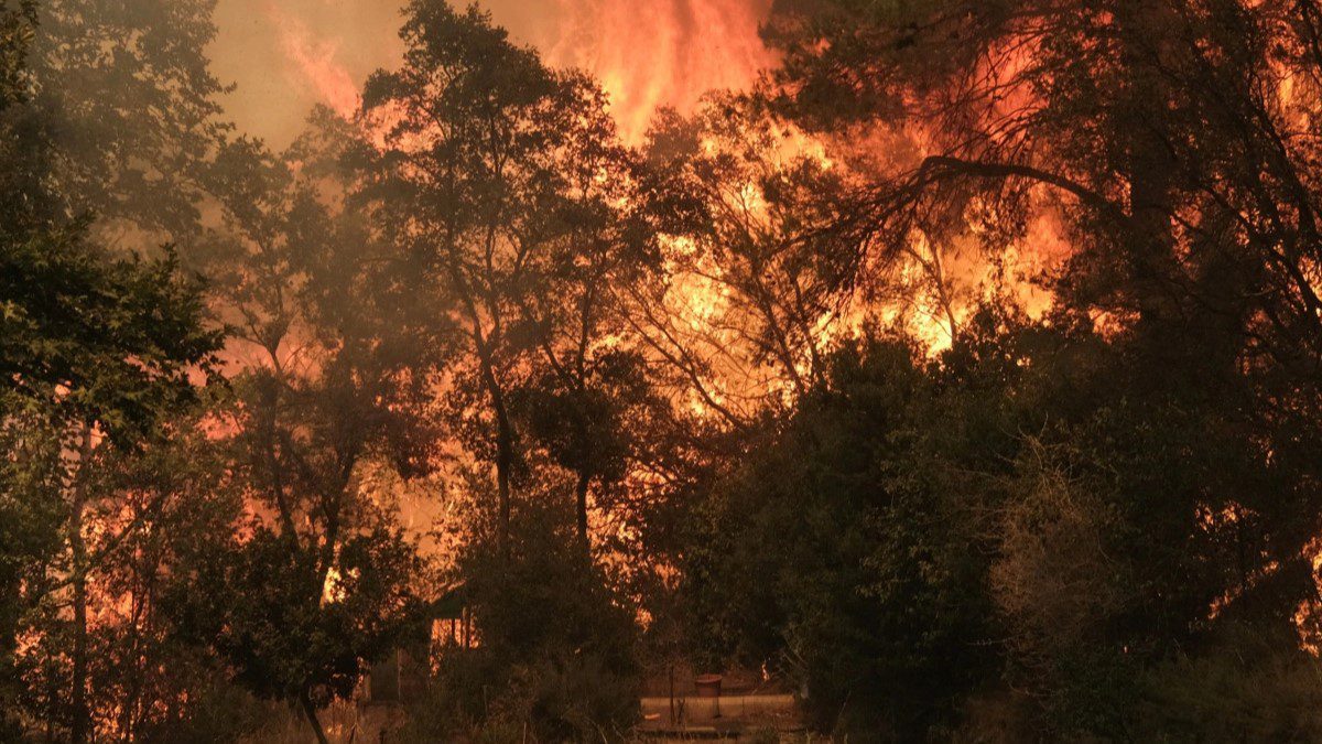 Έσβησε μετά από 29 μέρες η φωτιά στον Όρβηλο