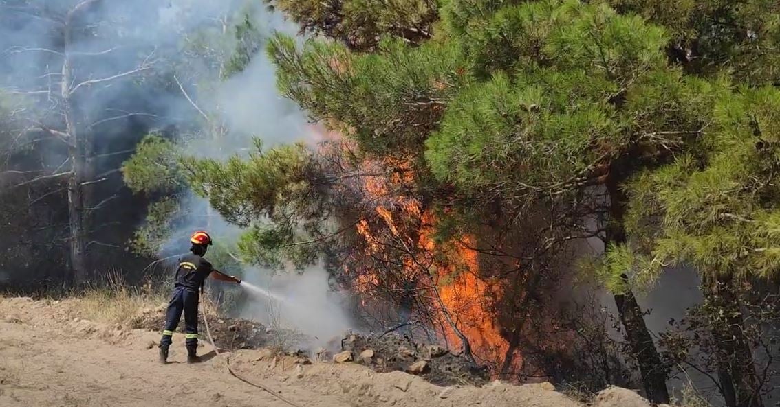 Σε εξέλιξη φωτιά στα Πλατανάκια Δήμου Σιντικής