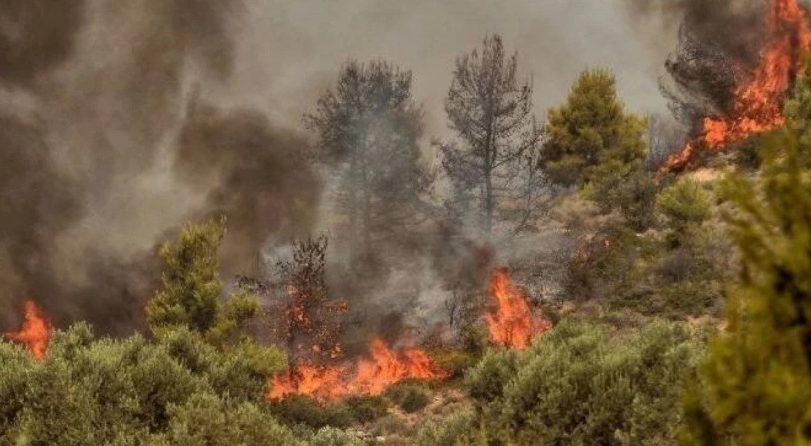 Δήμος Σερρών: Οδηγίες προστασίας δασικών πυρκαγιών