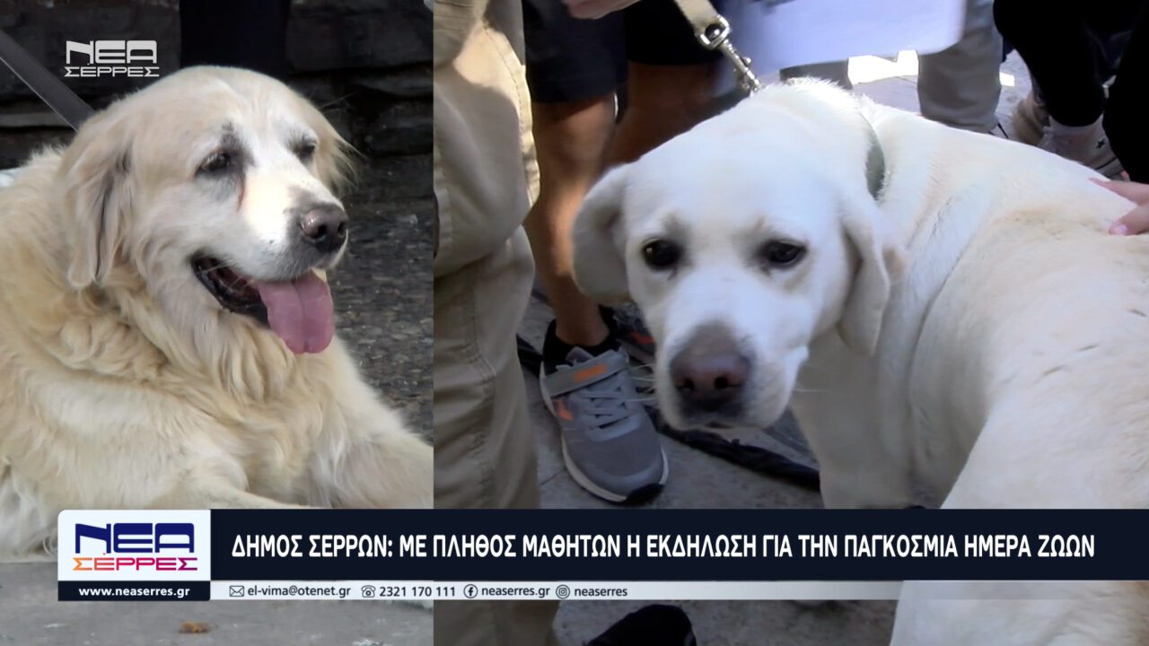 Δήμος Σερρών: Με πλήθος μαθητών η εκδήλωση για την Παγκόσμια Ημέρα Ζώων