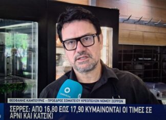 kampouris theofanis kreopoleio dio