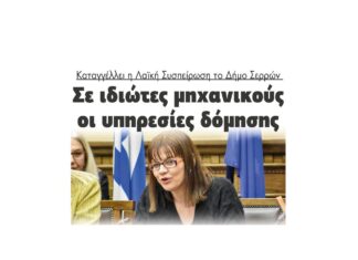 idiotes michanikous laiki sispeirosi serron kataggelia elena touska2
