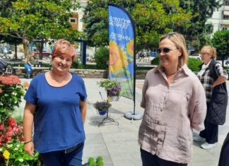 mitliagka anthokomiki ekthesi serron
